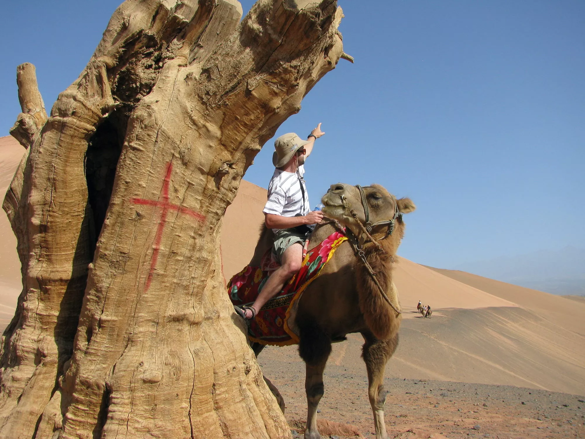 Riding a camel in the Gobi Desert