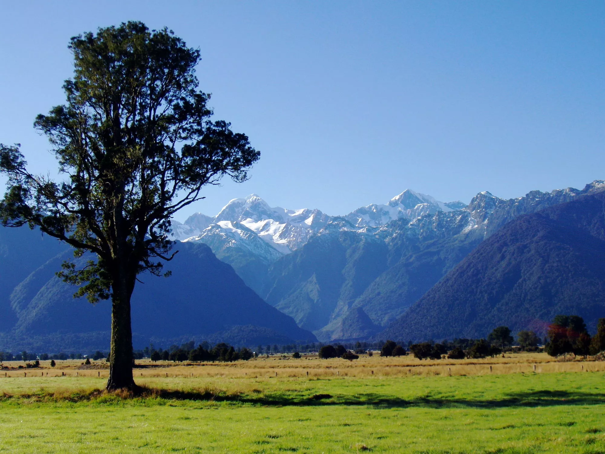 Lake Matheson, New Zealand