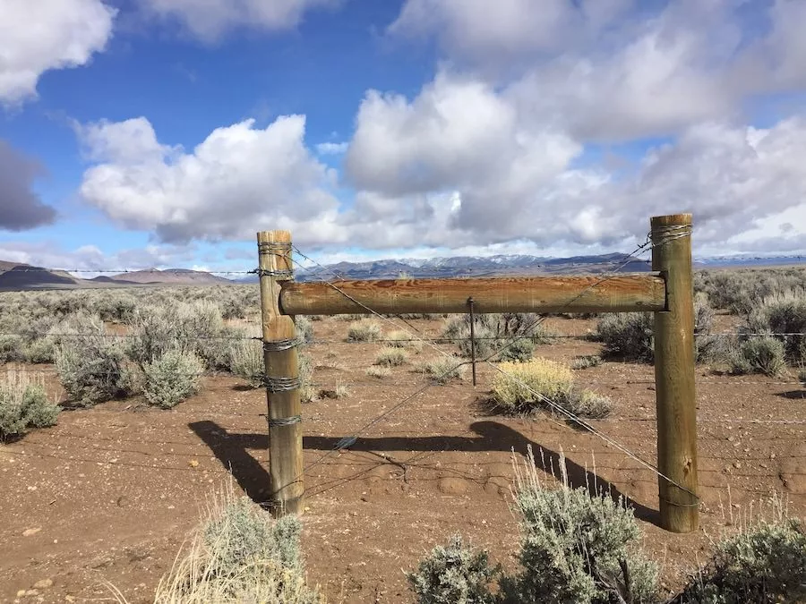 Mojave fence